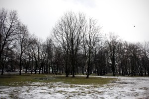 A general view of the “Ogrod Krasinskich” park in Warsaw on February 13, 2014.