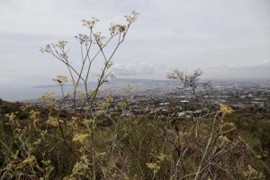 A general view on Naples city from the cone of Vesuvius volcano on September 9, 2013.
