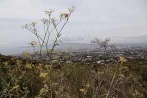 A general view on Naples city from the cone of Vesuvius volcano on September 9, 2013.