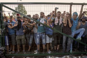 Migrants behind the gates that separates Serbia from Hungary in Horgos, Serbia on September 16, 2015. Hungary’s border with Serbia has become a major crossing point into the European Union, with more than 160,000 access Hungary so far this year.