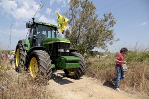 August 10, 2015 – Alezio, Italy: A protest of Salento farmers to ask measures to reduce the xylella emergency and continue to be among the excellence of the oil production in Italy.  