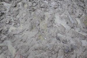 January 29, 2016 – Grande-Synthe, France: Mud is seen inside the refugee camp of Grande-Synthe near Dunkirk, northern France, known as “The Jungle 2.” Around 3,000 refugees and migrants of Kurdish descent from Iraq and Syria live in the camp.