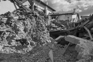 LAZIO, ITALY – AUGUST 24: A dog searches for victims in the rubble after a strong earthquake hit Amatrice on August 24, 2016. Italy was struck by a powerful, 6.2-magnitude earthquake in the night, which has killed at least 297 people and devastated dozens of houses in the Lazio village of Amatrice.