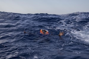 A migrant tries to board a boat of the German NGO Sea-Watch in the Mediterranean Sea on November 6, 2017. During a shipwreck, five people died, including a newborn child. According to the German NGO Sea-Watch, which has saved 58 migrants, the violent behavior of the Libyan coast guard caused the death of five persons.