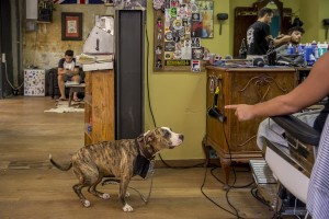 A barber shop in the Raval district in Barcelona, Spain on July 12, 2018. The Raval is one of the most multicultural and colorful neighborhoods in the city and it hosts numerous artists and galleries.