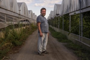 Maurizio Matrone, cannabis light farmer, is portrayed near his field in Scafati, Southern Italy on September 25, 2018. According to the Italian law 242 approved in December 2016, the production and marketing of hemp in Italy is legal if cannabis has a content of THC (tetrahydrocannabinol, the active ingredient) which doesn’t exceed 0,6%.