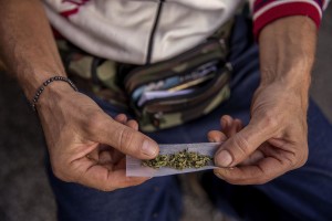 A man is seen rolling a joint made with canapa light during the industrial hemp and medical cannabis fair “Canapa in mostra” in Naples, Italy on October, 26, 2018. According to the Italian law 242 approved in December 2016, the production and marketing of hemp in Italy is legal if cannabis has a content of THC (tetrahydrocannabinol, the active ingredient) which doesn’t exceed 0,6%.