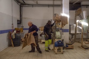 Men at work inside a store where canapa light is handled in Caivano, Southern Italy on September 26, 2018. According to the Italian law 242 approved in December 2016, the production and marketing of hemp in Italy is legal if cannabis has a content of THC (tetrahydrocannabinol, the active ingredient) which doesn’t exceed 0,6%.