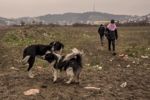 Migrants walk outise a refugee
 camp in Velika Kladusa, Bosnia and Herzegovin on November 30, 2018.
