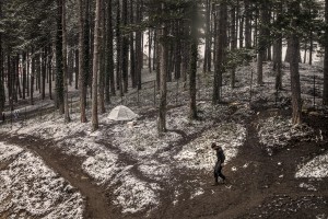 A migrant walks in a wood in the outskirts of the Bosnian city of Bihać, Bosnia and Herzegovina on November 28, 2018.