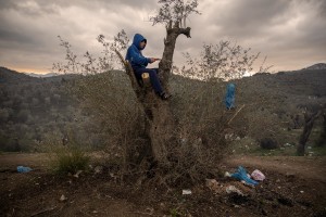 A child chops wood from a tree to prepare the nght fire inside the Moria refugee camp on the island of Lesbos in Greece on February 21, 2020. About 20000 migrants and asylum seekers – mostly coming from Afghanistan and Syria – live in the official Moria camp and in the olive grove that is located nearby.