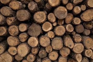 Wood is seen inside a shop in Skopje, North Macedonia on March 3, 2020. During the winter a large part of Macedonian citizens burns wood to keep warm. This obsolete heating system is one of the biggest contributors to air pollution in the country. Although the electricity tariffs in Macedonia are among the lowest in Europe, energy can cost a third or even half of a citizen’s  average monthly salary. This is the reason why many residents burn wood to heat their home, often buying it on the black market where it costs less, but is more toxic to the environment.