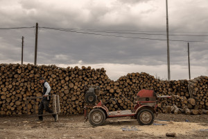 A man at work inside a shop that sells wood in Skopje, North Macedonia on March 3, 2020. During the winter a large part of Macedonian citizens burns wood to keep warm. This obsolete heating system is one of the biggest contributors to air pollution in the country. Although the electricity tariffs in Macedonia are among the lowest in Europe, energy can cost a third or even half of a citizen’s  average monthly salary. This is the reason why many residents burn wood to heat their home, often buying it on the black market where it costs less, but is more toxic to the environment.