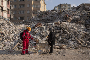 A rescue dog is seen among the rubble in Hatay, Turkey on February 12, 2023. On February 6, 2023 a powerful earthquake measuring 7.8 struck southern Turkey killing more than 50,000 people.