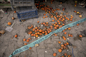 The remains of a fruit and vegetable shop destroyed by the earthquake in Kahramanmaras, Turkey on February 18, 2023. On February 6, 2023 a powerful earthquake measuring 7.8 struck southern Turkey killing more than 50,000 people.