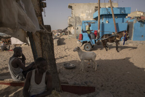 Daily life scenes on the beach of the “Langue de Barbarie” in Saint-Louis, Senegal on December 14, 2023. The “Langue de Barbarie” is a thin, sandy peninsula located in western Senegal, where around 80,000 people live and is among the places most threatened by the rise in sea levels generated by climate change. The peninsula separates the Atlantic ocean from the final section of the Senegal river.