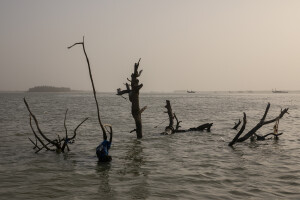 Trees submerged by water in the Doune Baba Dieye village in Saint-Louis, Senegal on December 12, 2023. Doune Baba Dieye was once a vibrant fishing community, but changing weather patterns and heavy rainfall in 2003 led to flooding inland and a rise in sea levels that have now submerged part of the village which today can only be reached by boats.